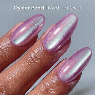 Oyster Shell