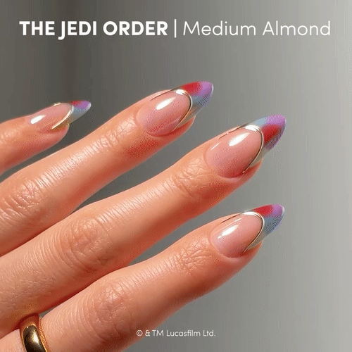 The Jedi Order