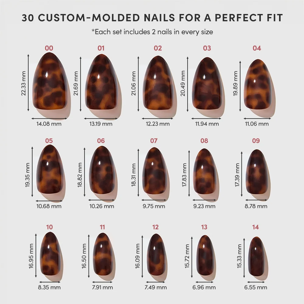 Main Reference