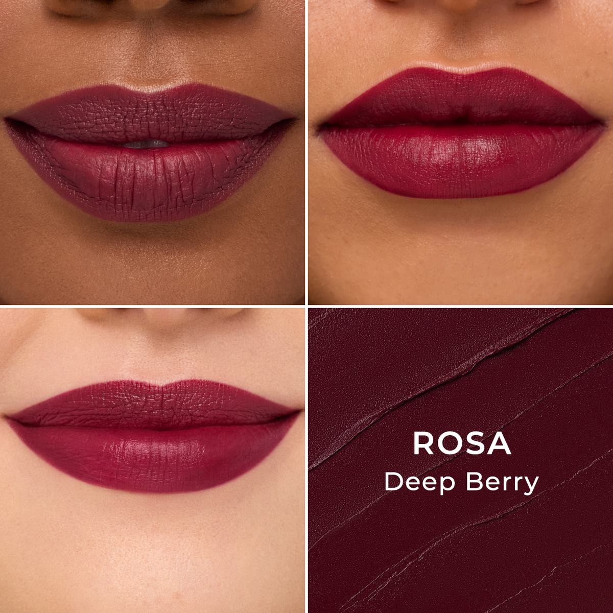 Winter Berries Collection