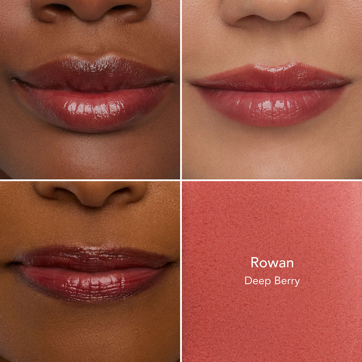 Winter Berries Collection