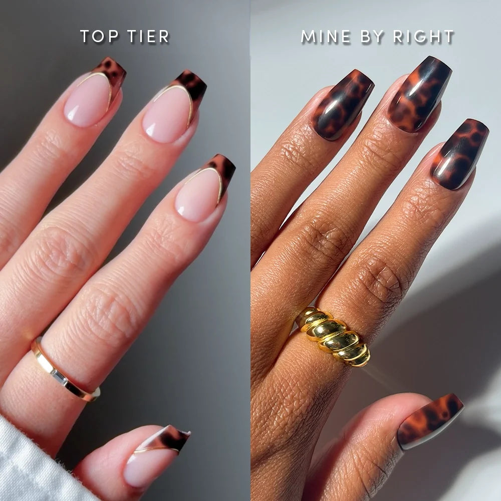 The Medium Coffin Tortoiseshell Duo